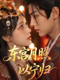 东宫月照以宁归