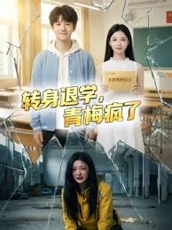 转身退学青梅疯了