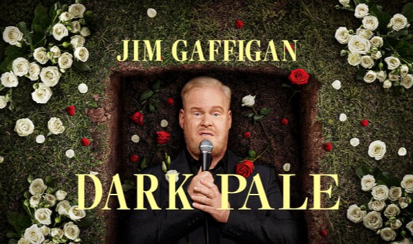 吉姆加菲根暗淡