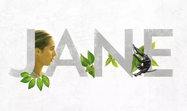 珍古道尔的传奇一生