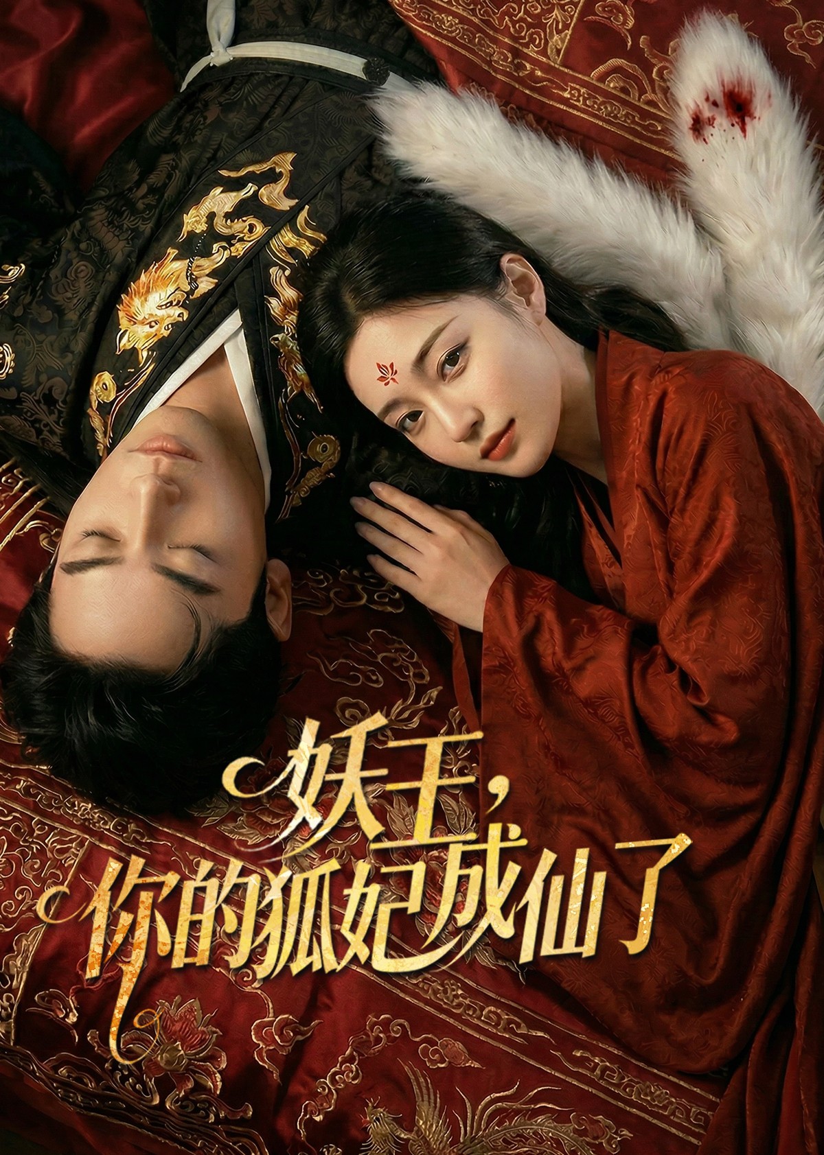 妖王你的狐妃成仙了