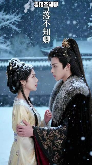 雪落不知卿