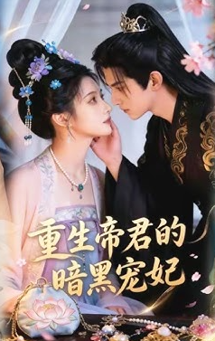重生帝君的暗黑宠妃