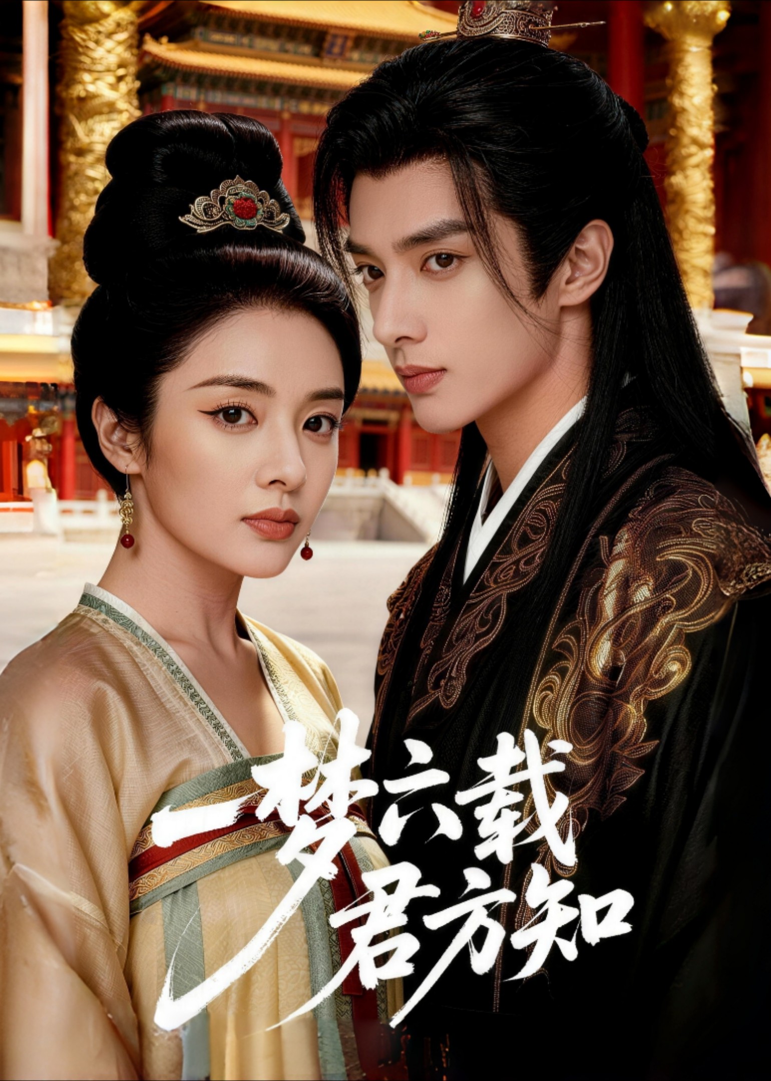 一梦六载君方知