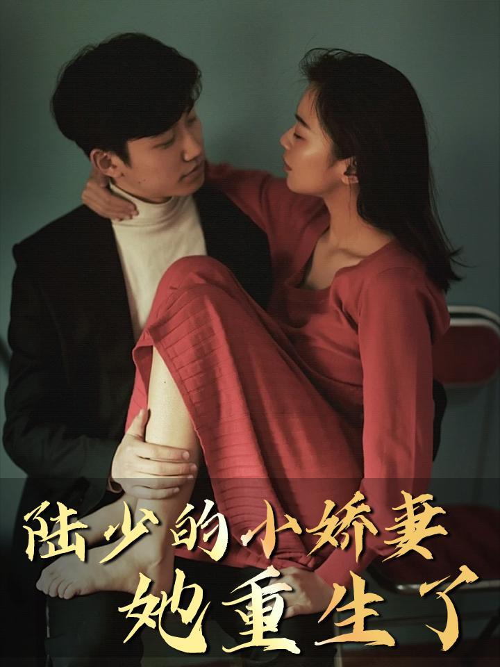 陆少的小娇妻她重生了