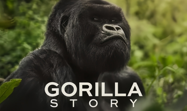 大卫艾登堡大猩猩的故事