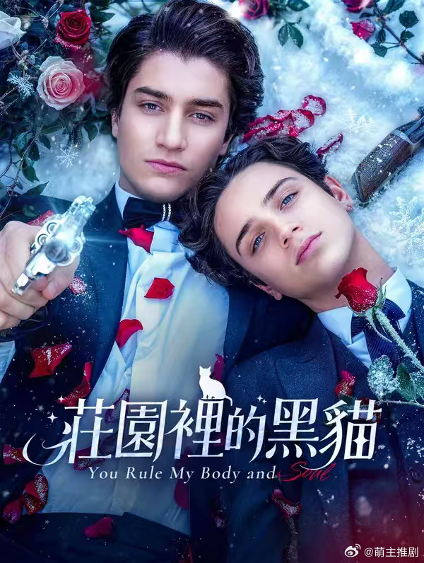 庄园里的黑猫