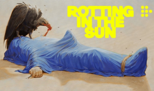 在阳光下腐烂