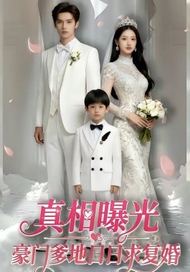 真相曝光豪门爹地日日求复婚