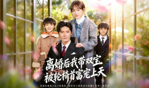 离婚后我带双宝被轮椅首富宠上天