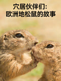 穴居伙伴们欧洲地松鼠的故事