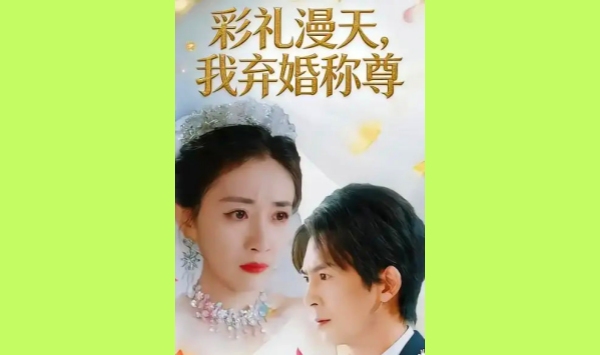 彩礼漫天我弃婚称尊