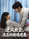 逆风救企沈总的绝境逆袭