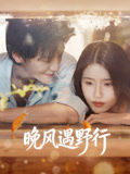 晚风遇野行