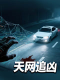 天网追凶
