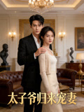 太子爷归来宠妻