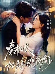 秦机长太太是真的想离婚了