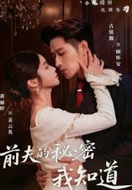 前夫的秘密我知道
