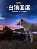 白狼国度第一季