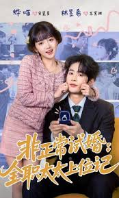非正常试婚全职太太上位记