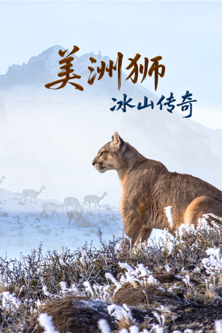 美洲狮冰山传奇