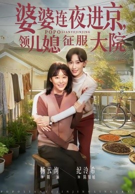 婆婆连夜进京领儿媳征服大院