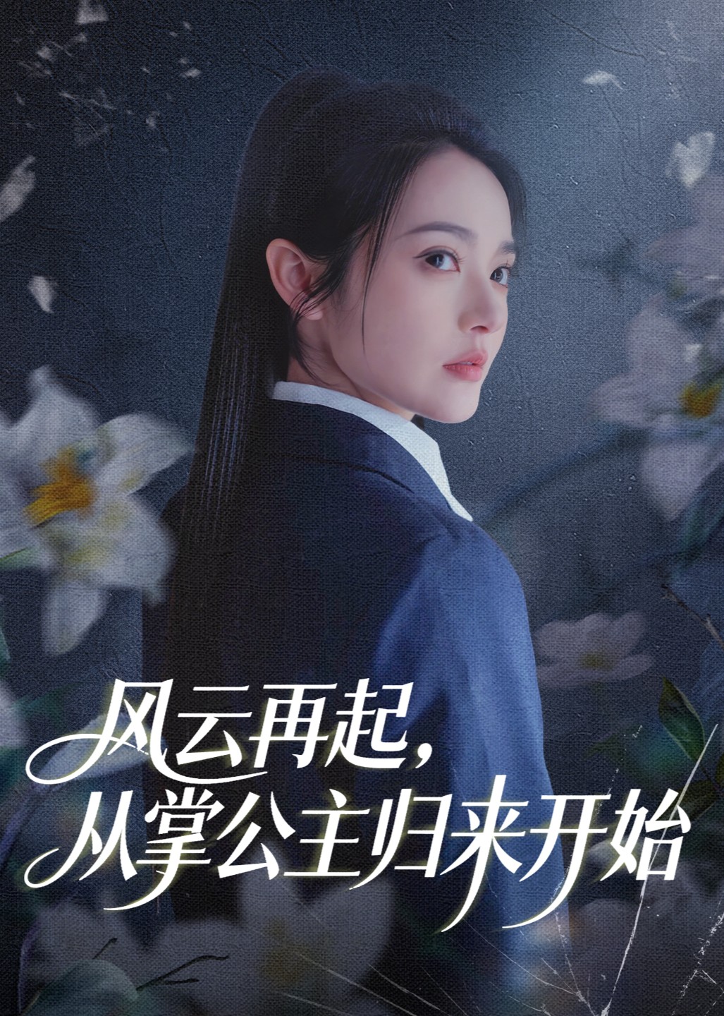 风云再起从掌公主归来开始