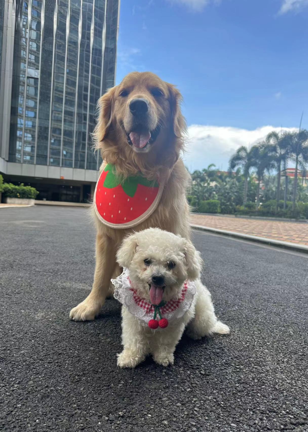 满满的付费付费单点