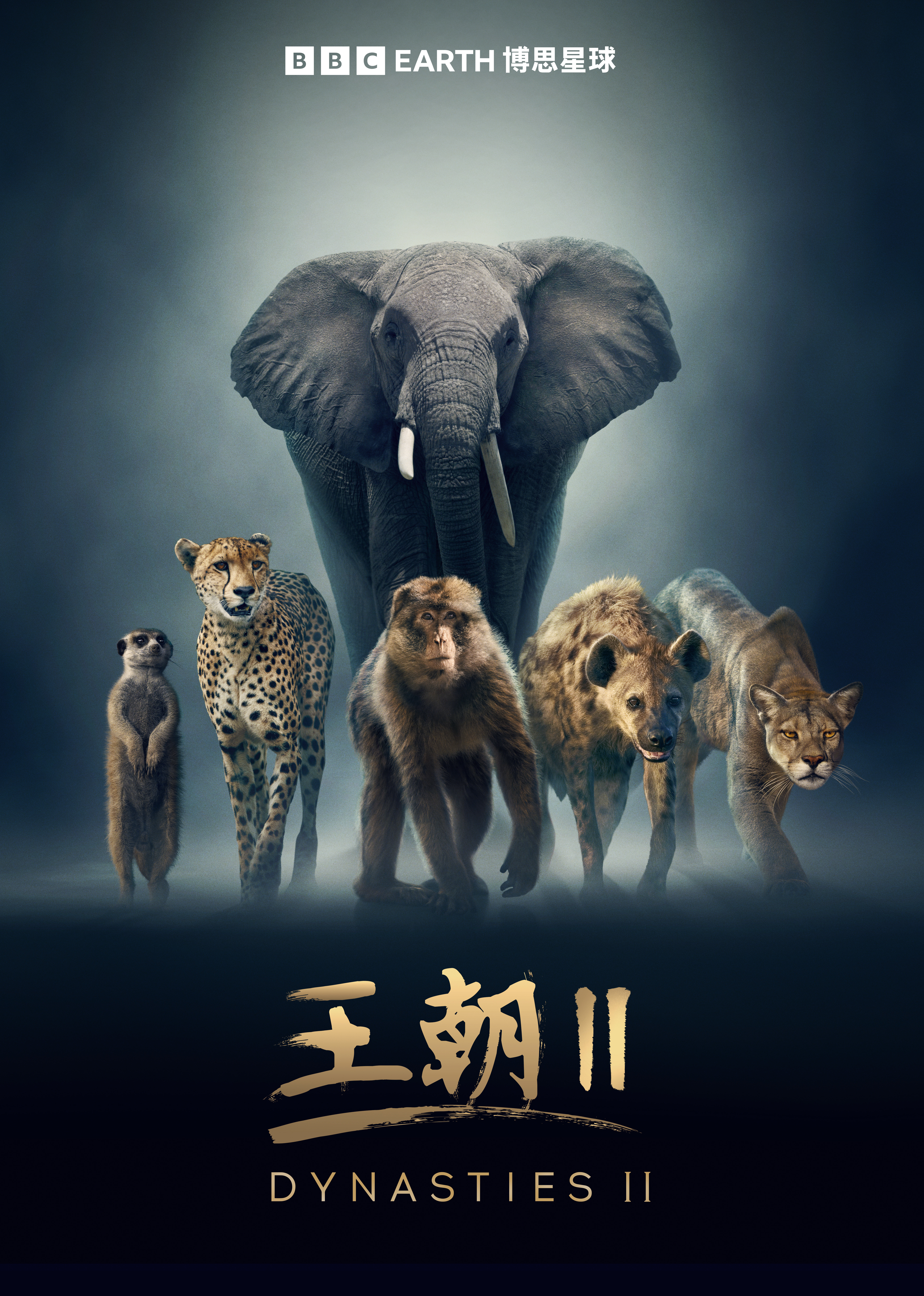 王朝第二季中文版