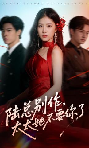 陆总别作太太她不要你了