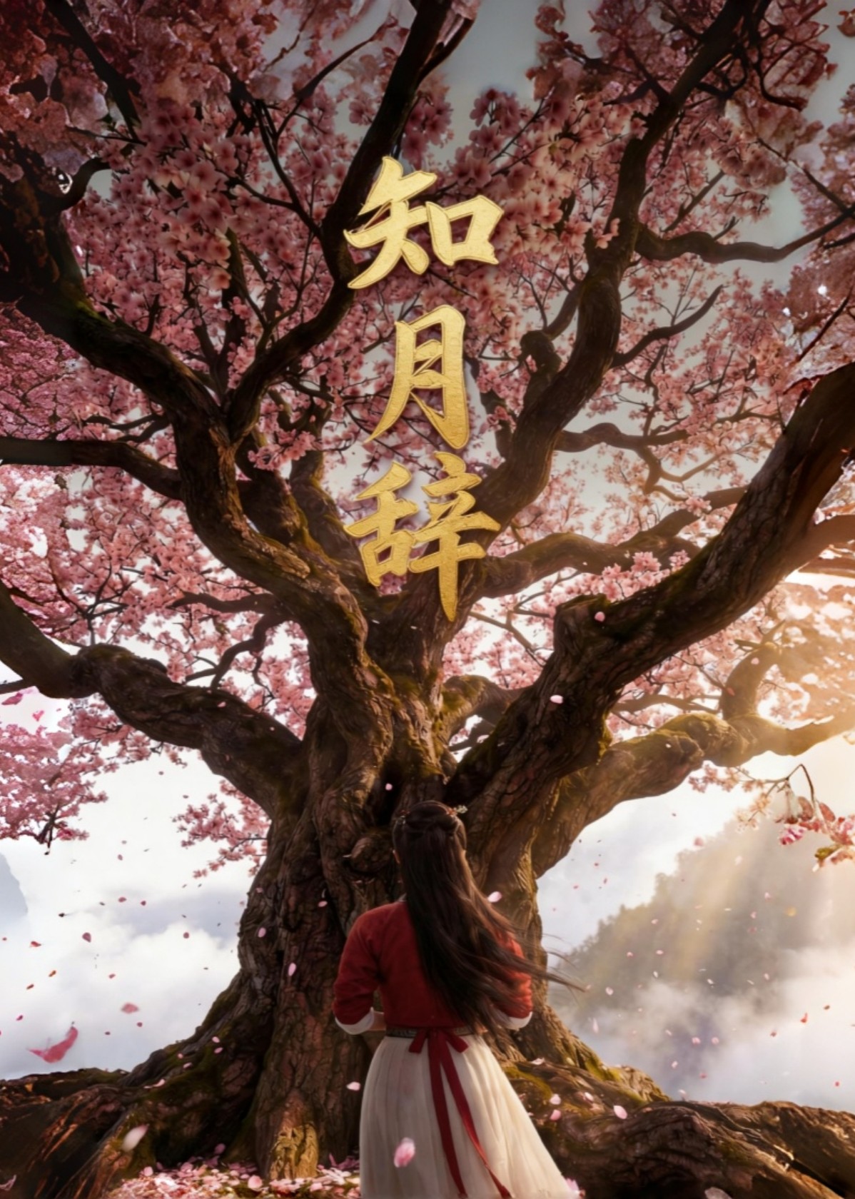 知月辞