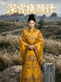 深宫换颜计