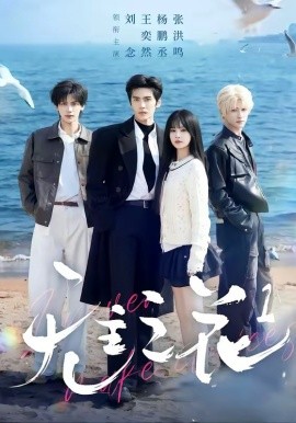 无主之花