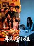 再见宁小姐