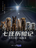 七汪历险记