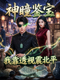 神瞳鉴宝我靠透视震北平