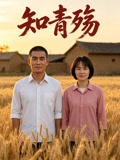 知青殇