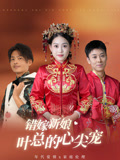 错嫁新娘叶总的心尖宠