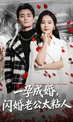 一孕成婚闪婚老公太粘人