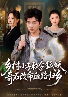 乡村小子敕令狐妖奇石改命血路归乡