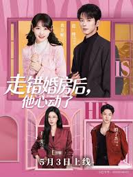 走错婚房后他心动了